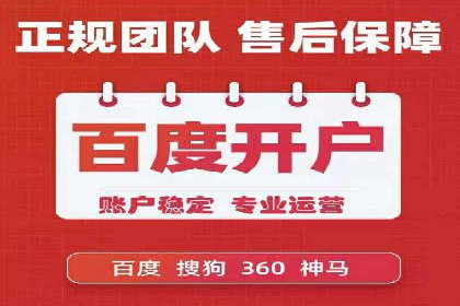 网站SEM托管服务成功案例分享